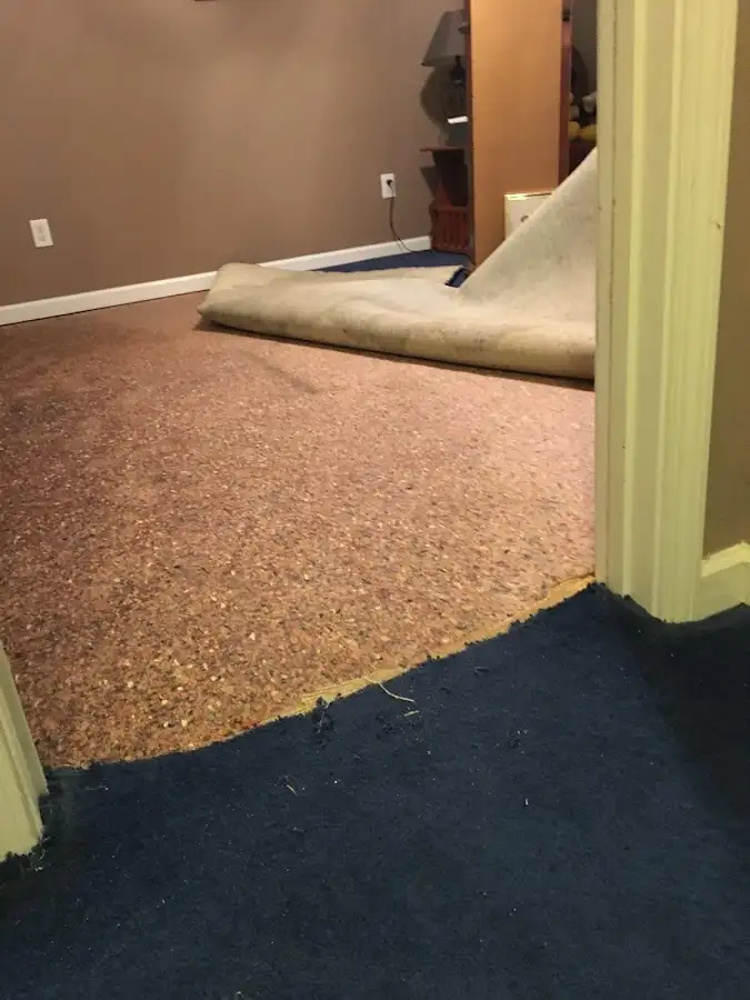 Carpet pad removal revealing water damage during Drying & Dehumidification in Locust Grove